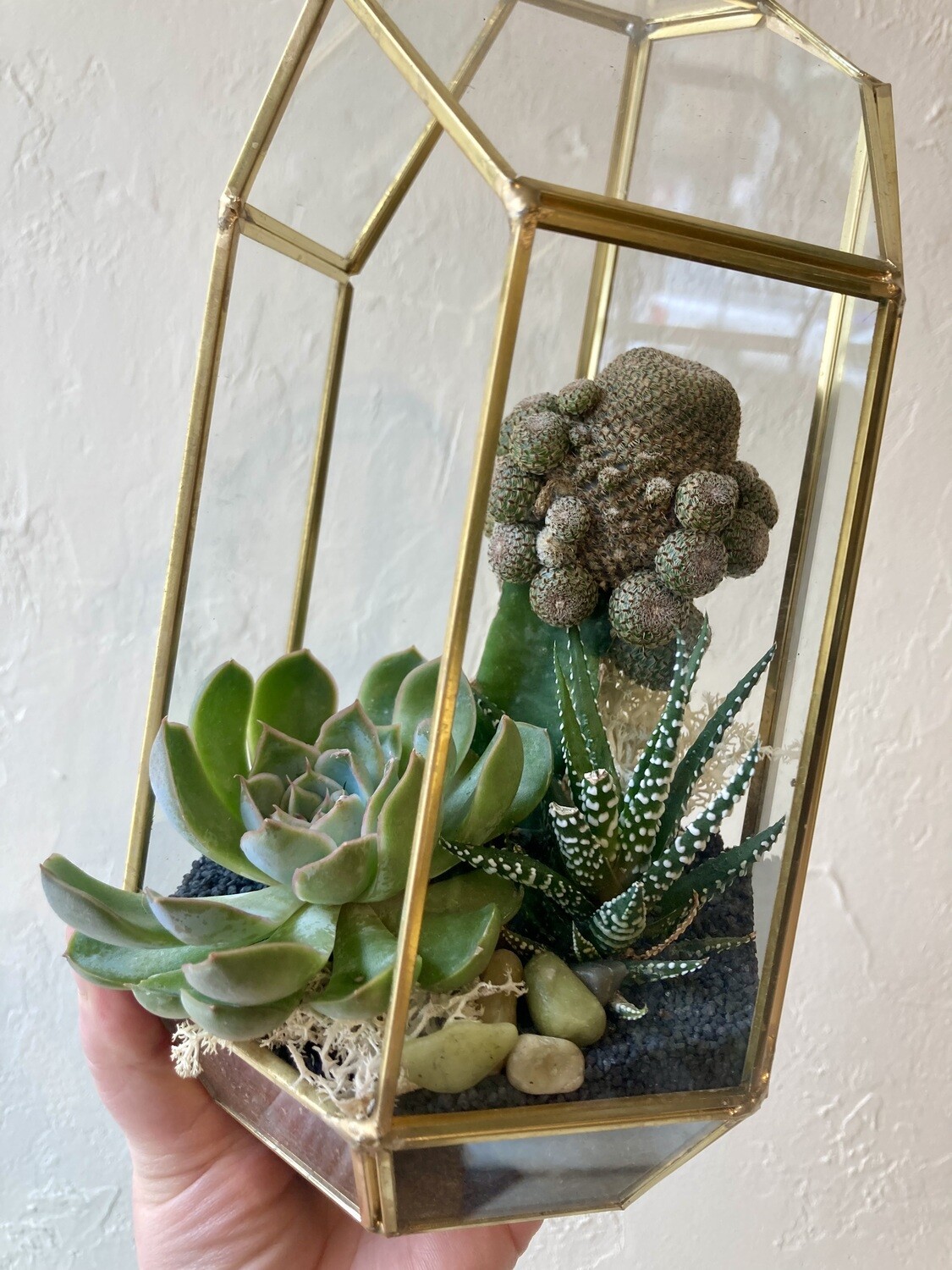FRAMED GEOMETRIC TERRARIUM