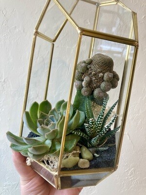 FRAMED GEOMETRIC TERRARIUM
