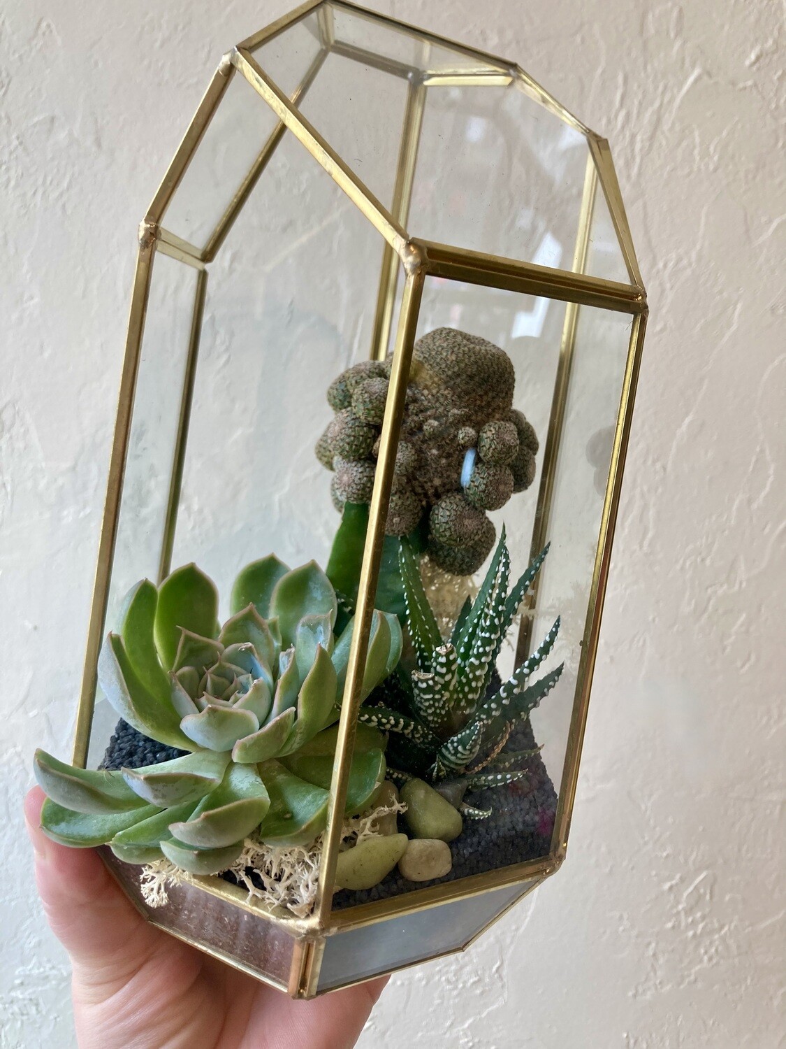 FRAMED GEOMETRIC TERRARIUM
