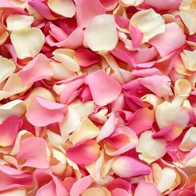 FRESH ROSE PETALS
