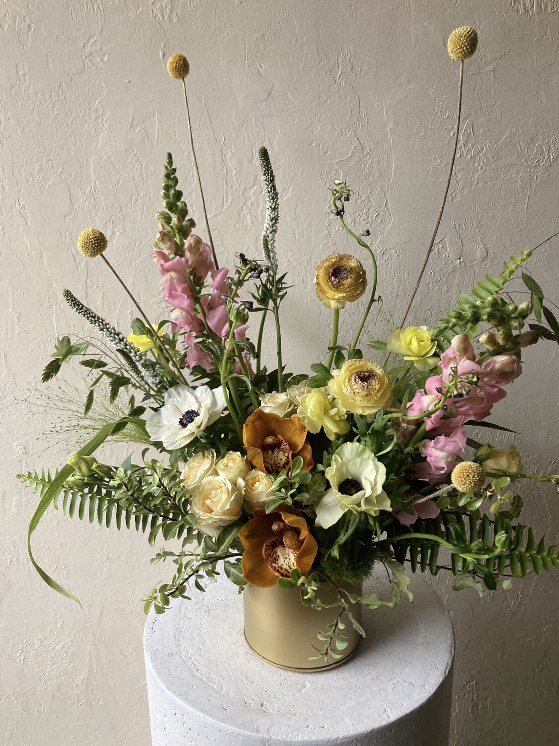 BONNIE ARRANGEMENT
