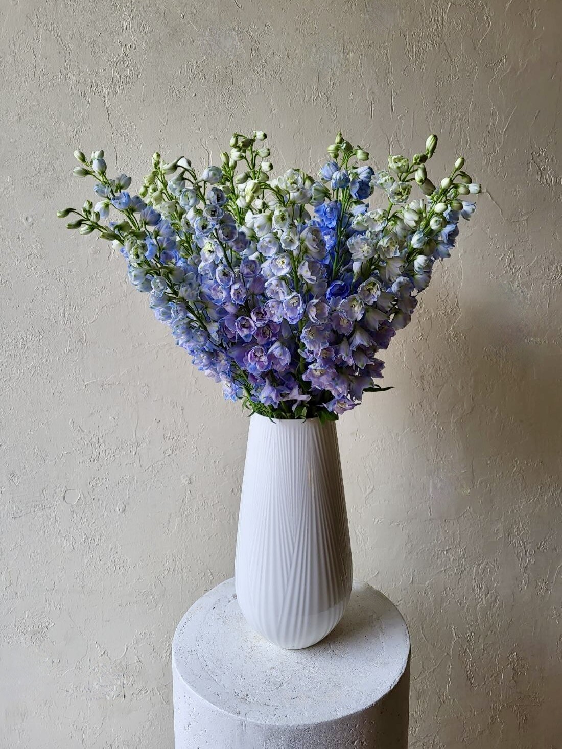 DELPHINIUMS IN WEDGWOOD FOLIA VASE