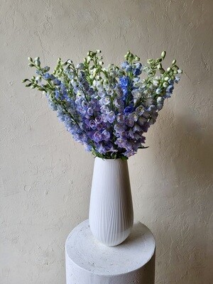 DELPHINIUMS IN WEDGWOOD FOLIA VASE