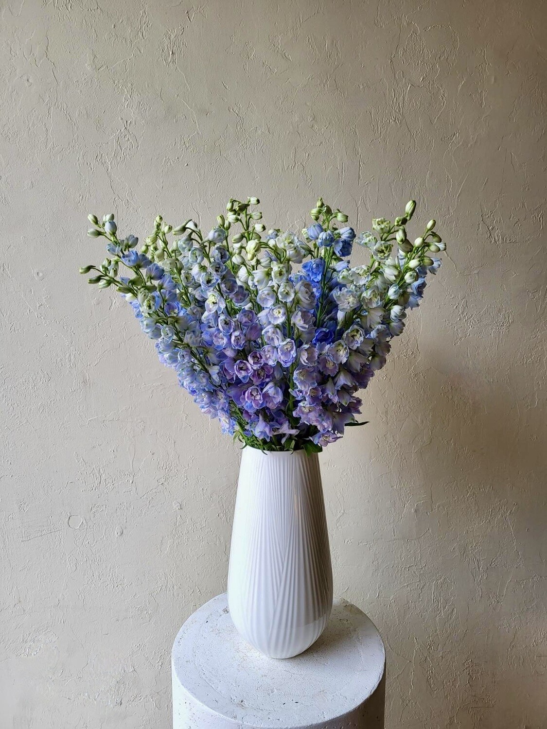 DELPHINIUMS IN WEDGWOOD FOLIA VASE