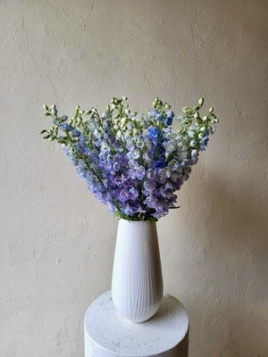 DELPHINIUMS IN WEDGWOOD FOLIA VASE