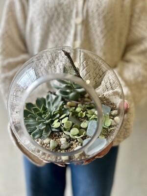 OPEN GLOBE TERRARIUM