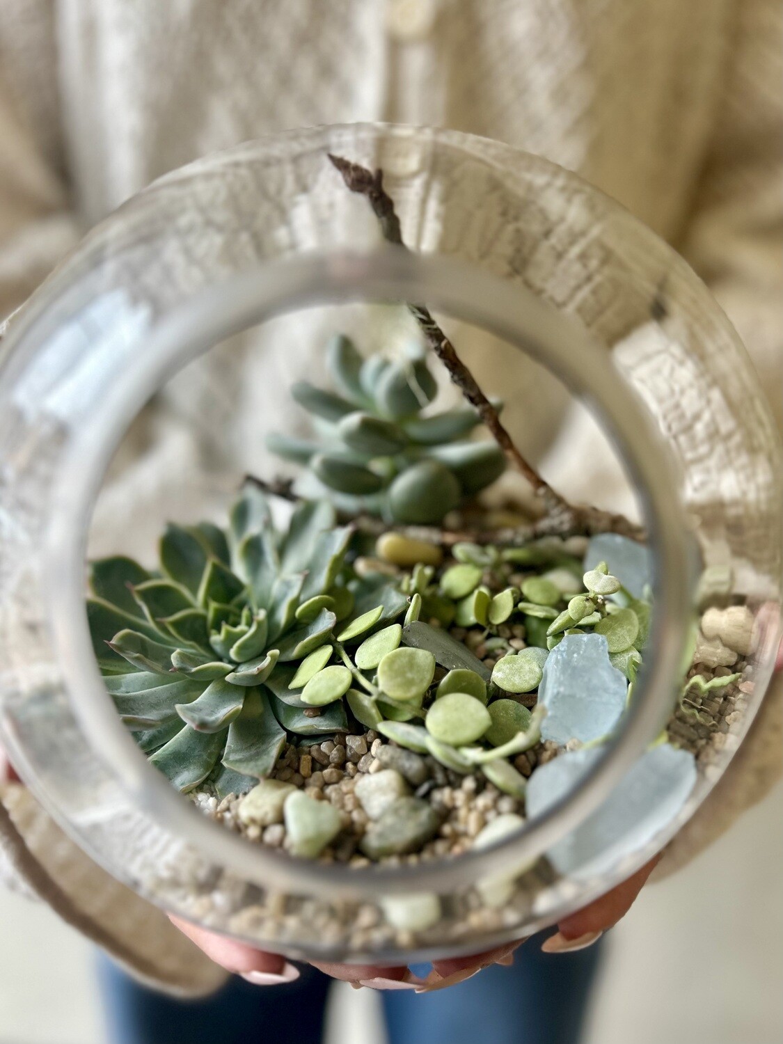 OPEN GLOBE TERRARIUM