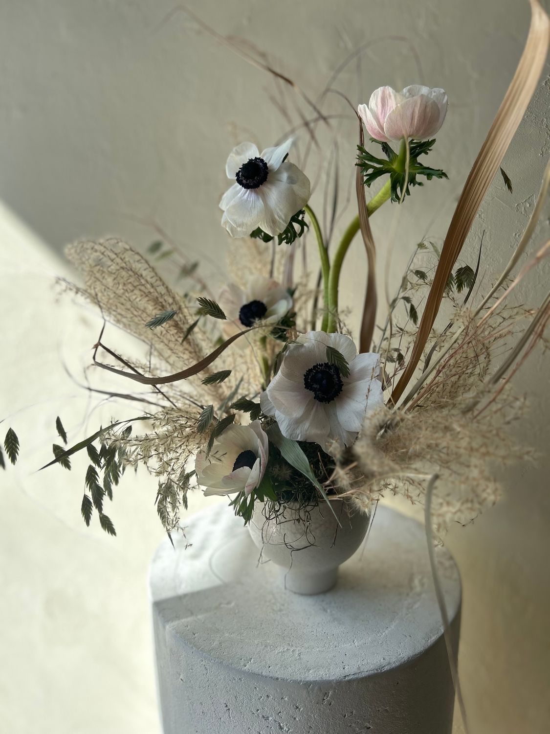 SMALL ANEMONE COMPOTE