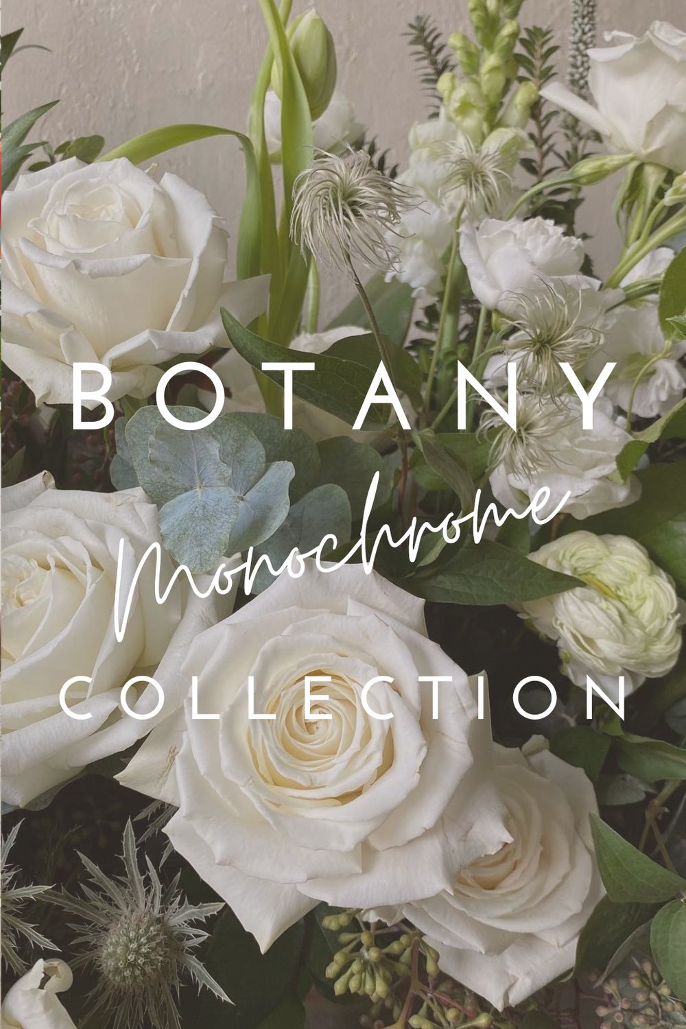 MONOCHROME COLLECTION SUBSCRIPTION