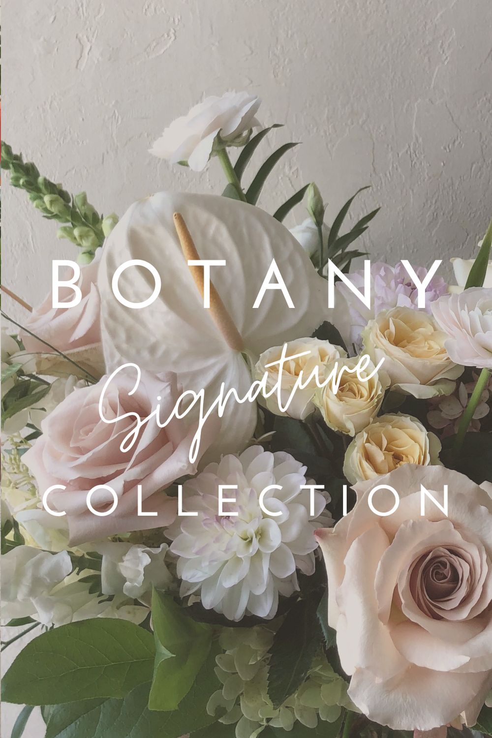 SIGNATURE COLLECTION SUBSCRIPTION