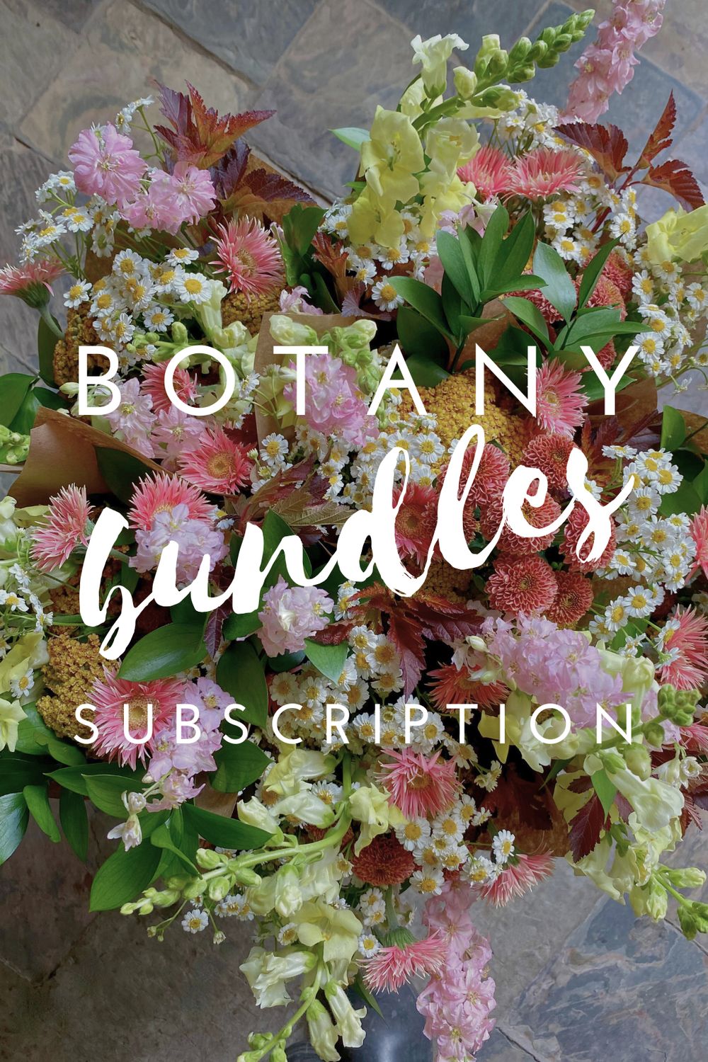 BOTANY BUNDLE SUBSCRIPTION