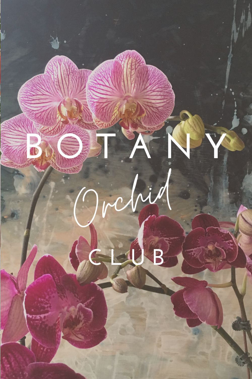 ORCHID CLUB SUBSCRIPTION