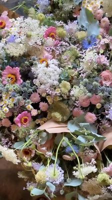 BOTANY BUNDLE SUBSCRIPTION