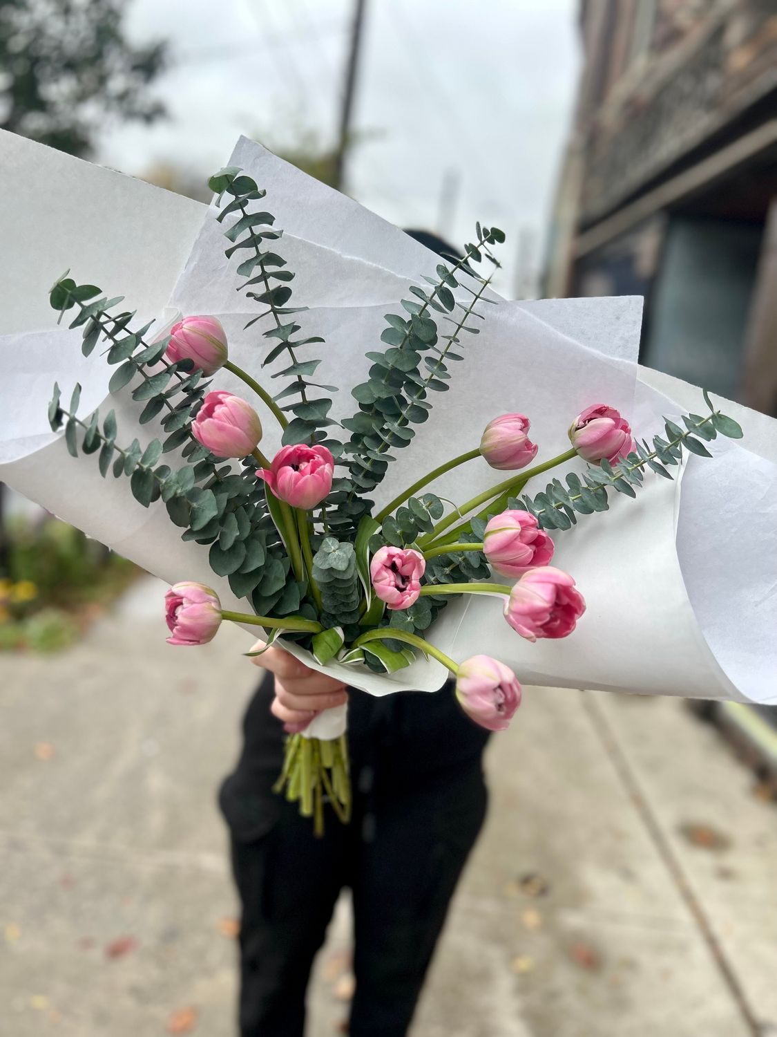 TULIPS AND TRUE BLUE EUCALYPTUS