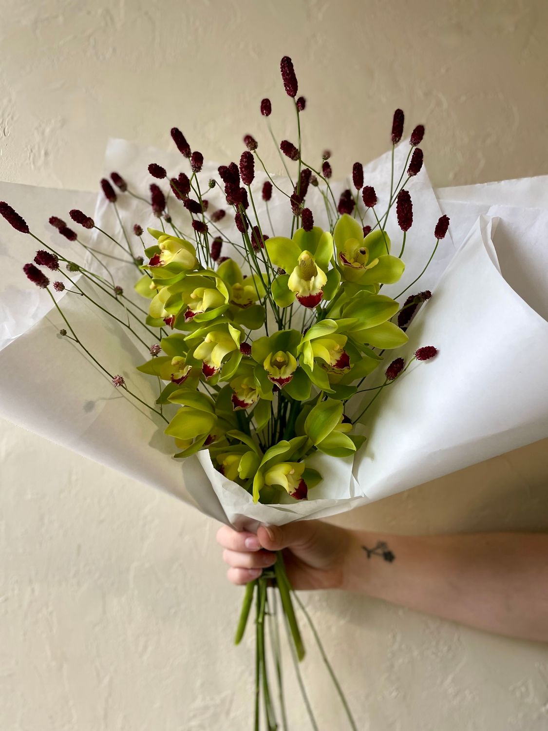 CYMBIDIUM ORCHIDS AND TALICUM PANICULATUM