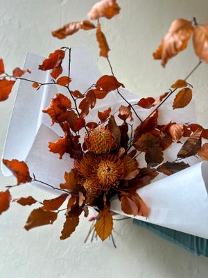 PINCUSHION PROTEAS AND BEECH FOLIAGE