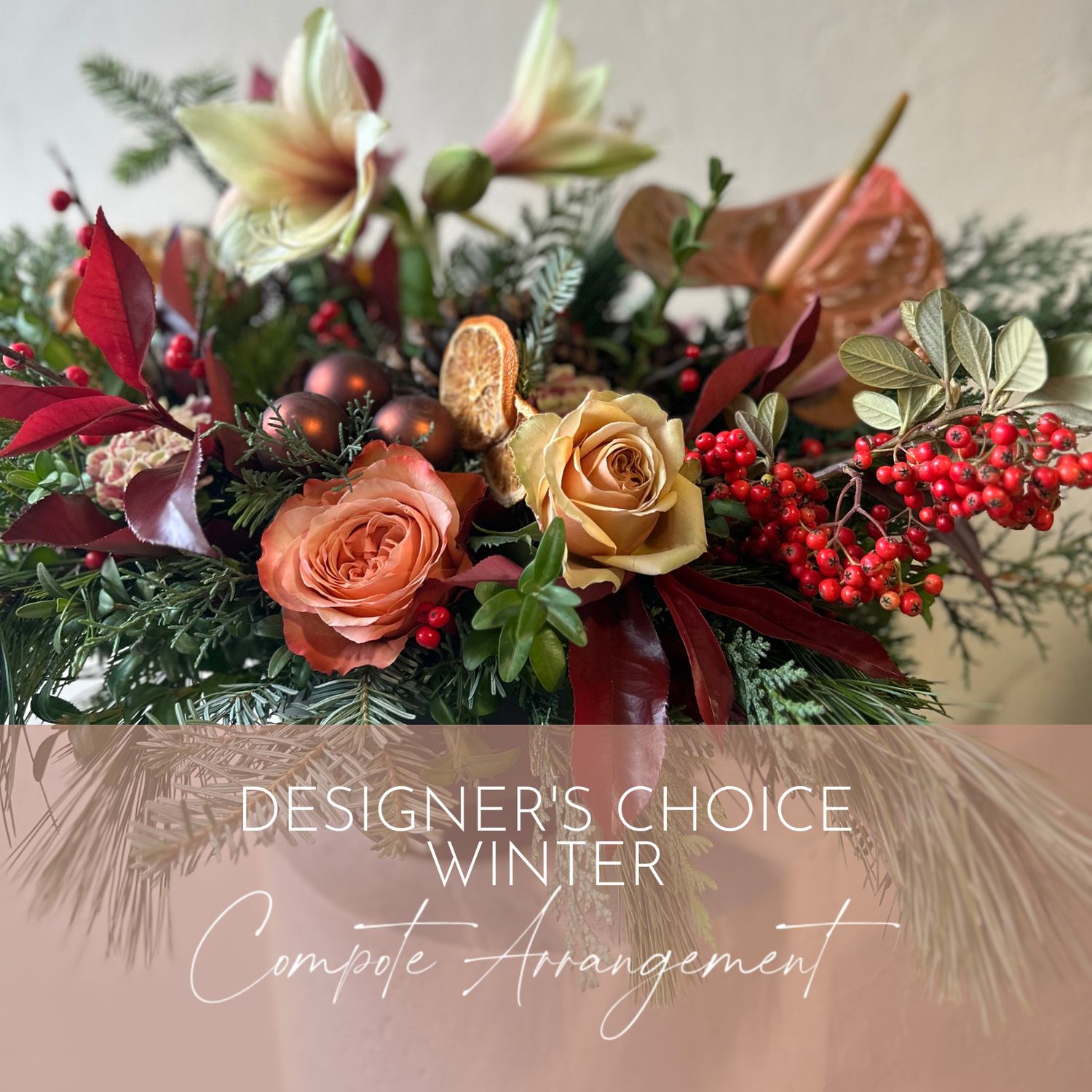 DESIGNER&#39;S CHOICE - WINTER COMPOTE ARRANGEMENT