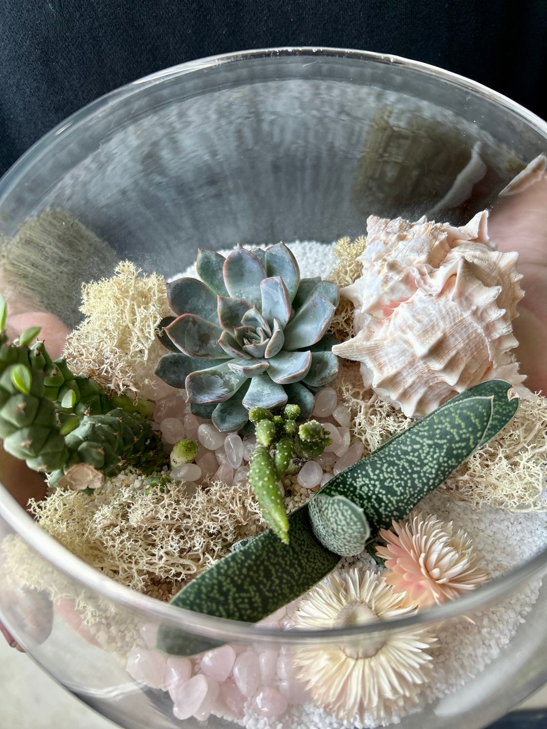 SEASIDE TERRARIUM