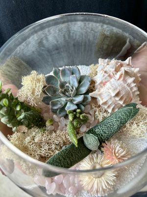 SEASIDE TERRARIUM