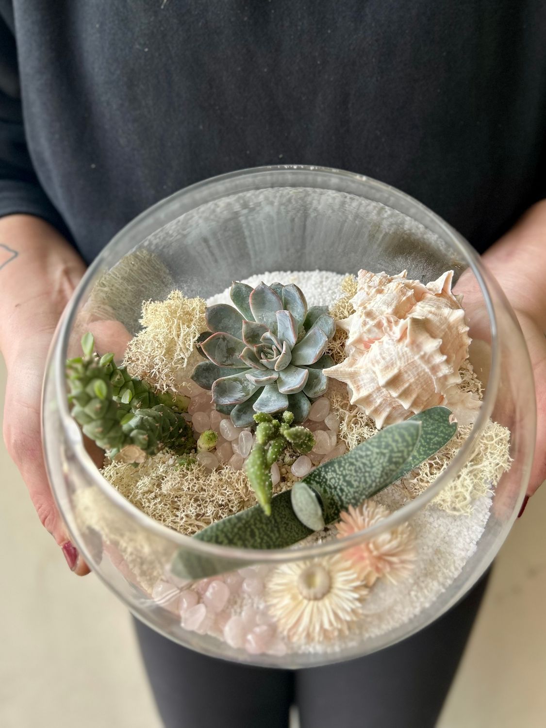 SEASIDE TERRARIUM