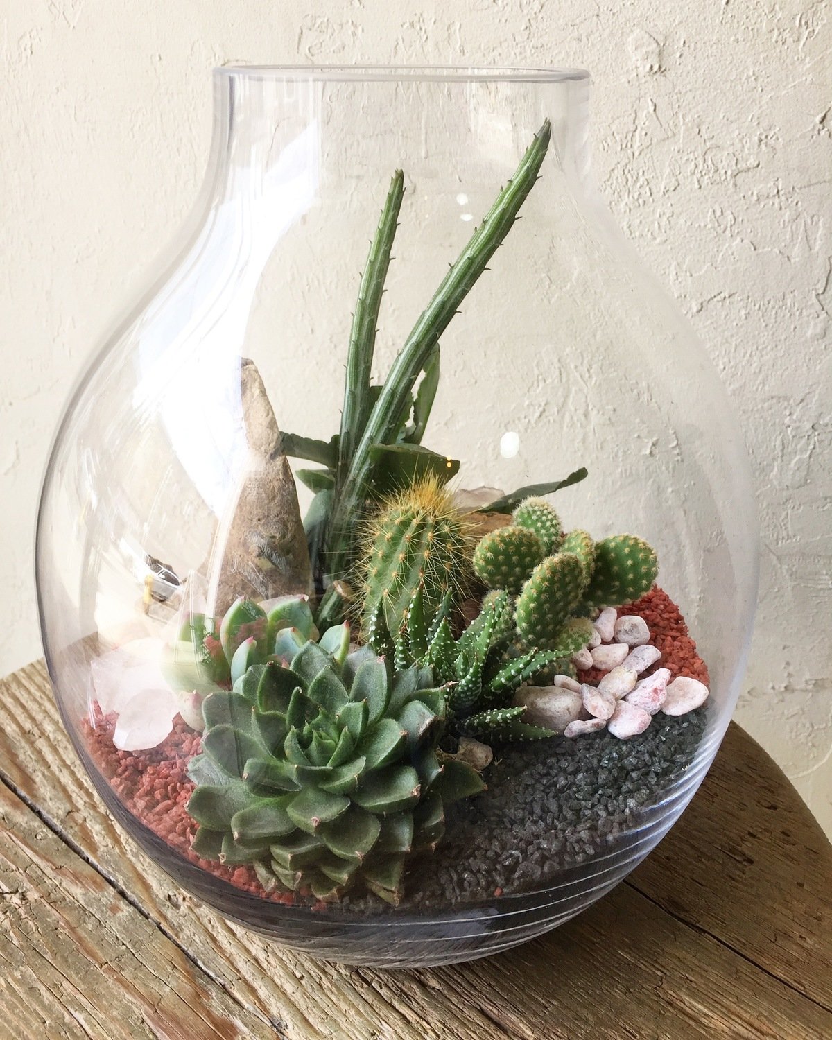GOURD TERRARIUM