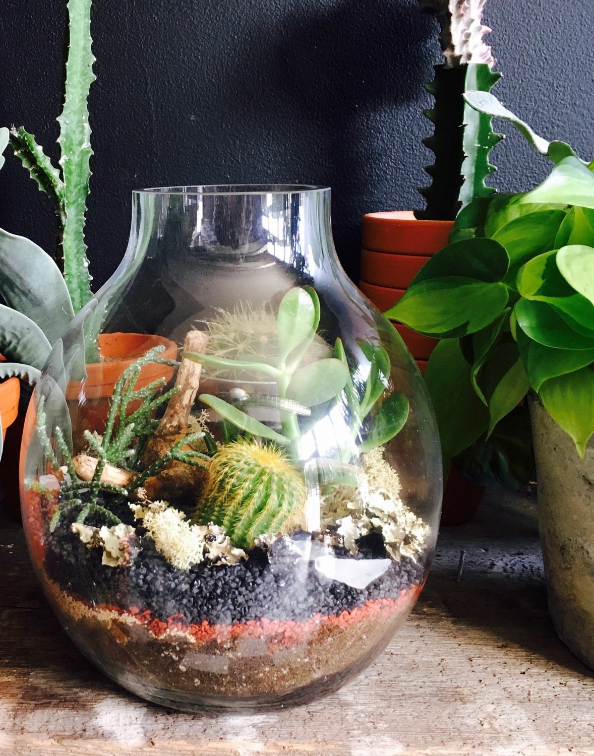 GOURD TERRARIUM