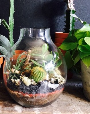 GOURD TERRARIUM