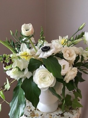 MONOCHROME COMPOTE