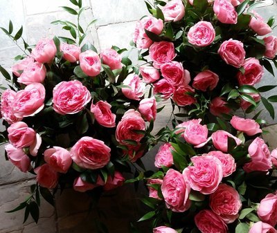 MARIA THERESA GARDEN ROSE ARRANGEMENT