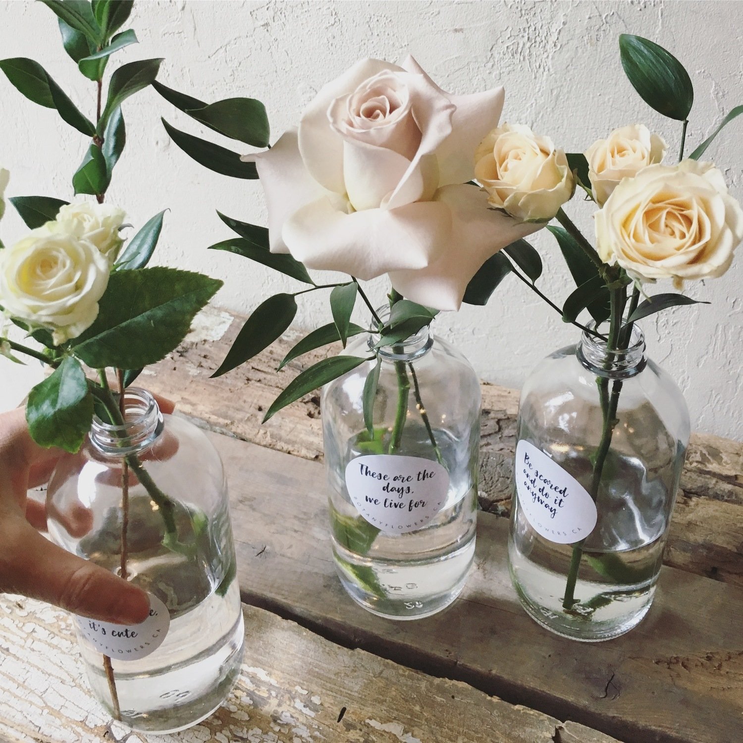MEMENTO APOTHECARY BOTTLES