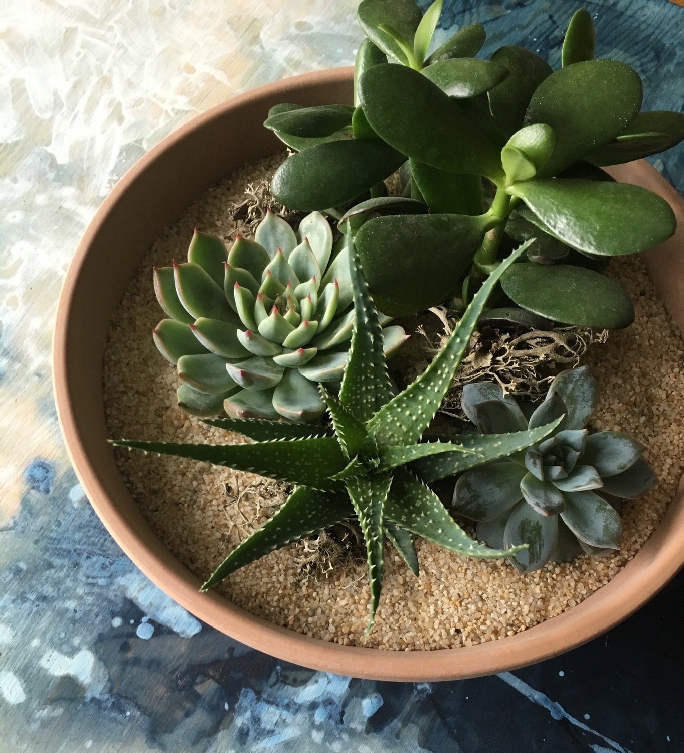 SUCCULENT TERRACOTTA PLANTER