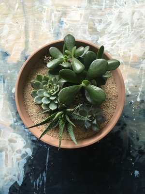 SUCCULENT TERRACOTTA PLANTER