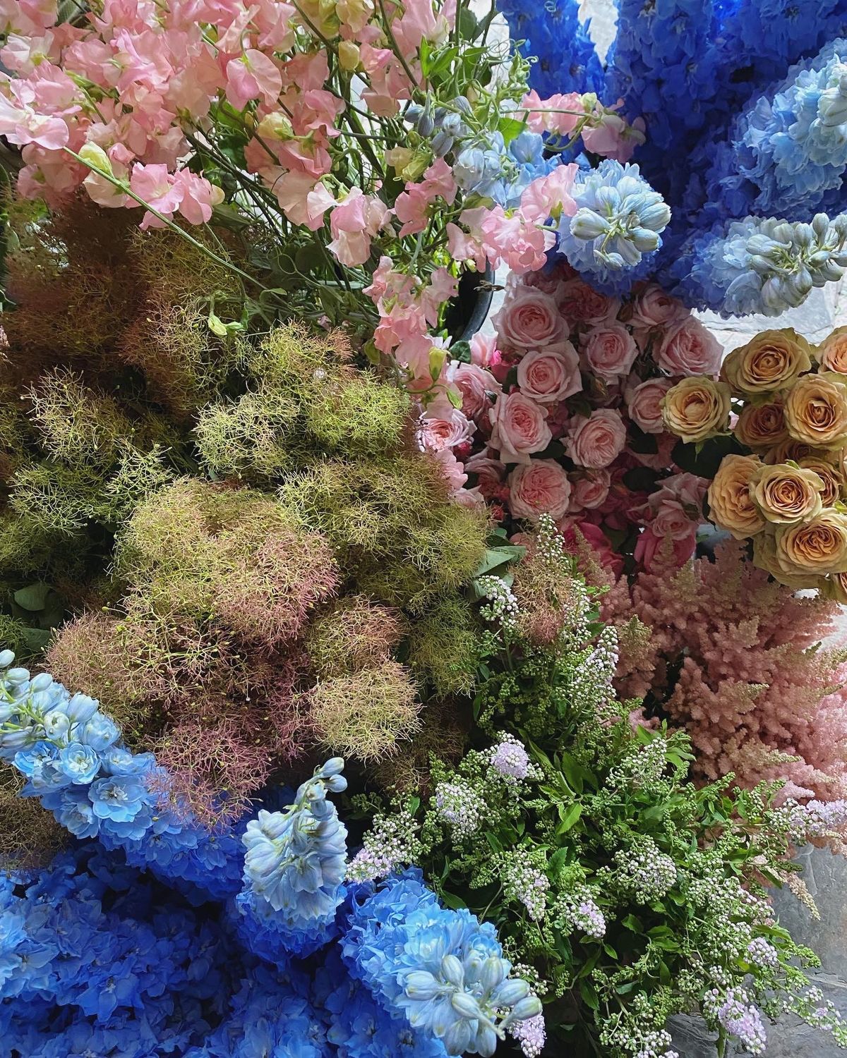 BULK BLOOMS