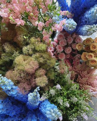 BULK BLOOMS