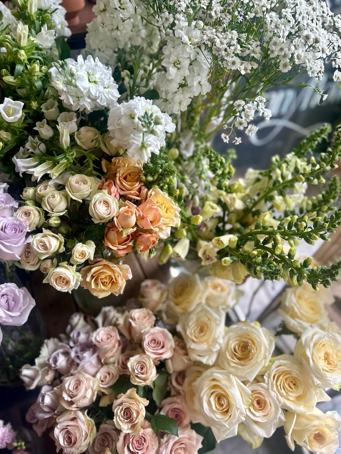 BULK BLOOMS