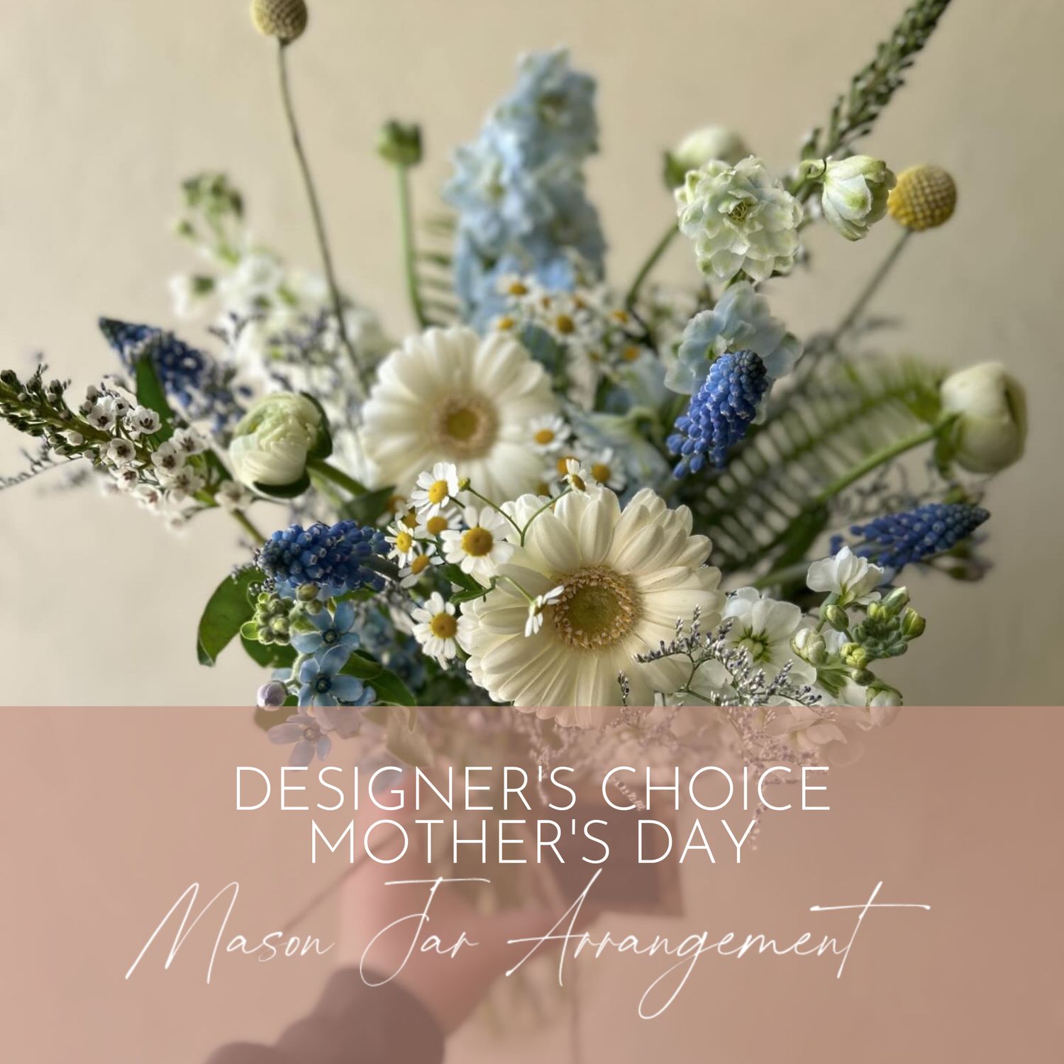 DESIGNER'S CHOICE - MASON JAR