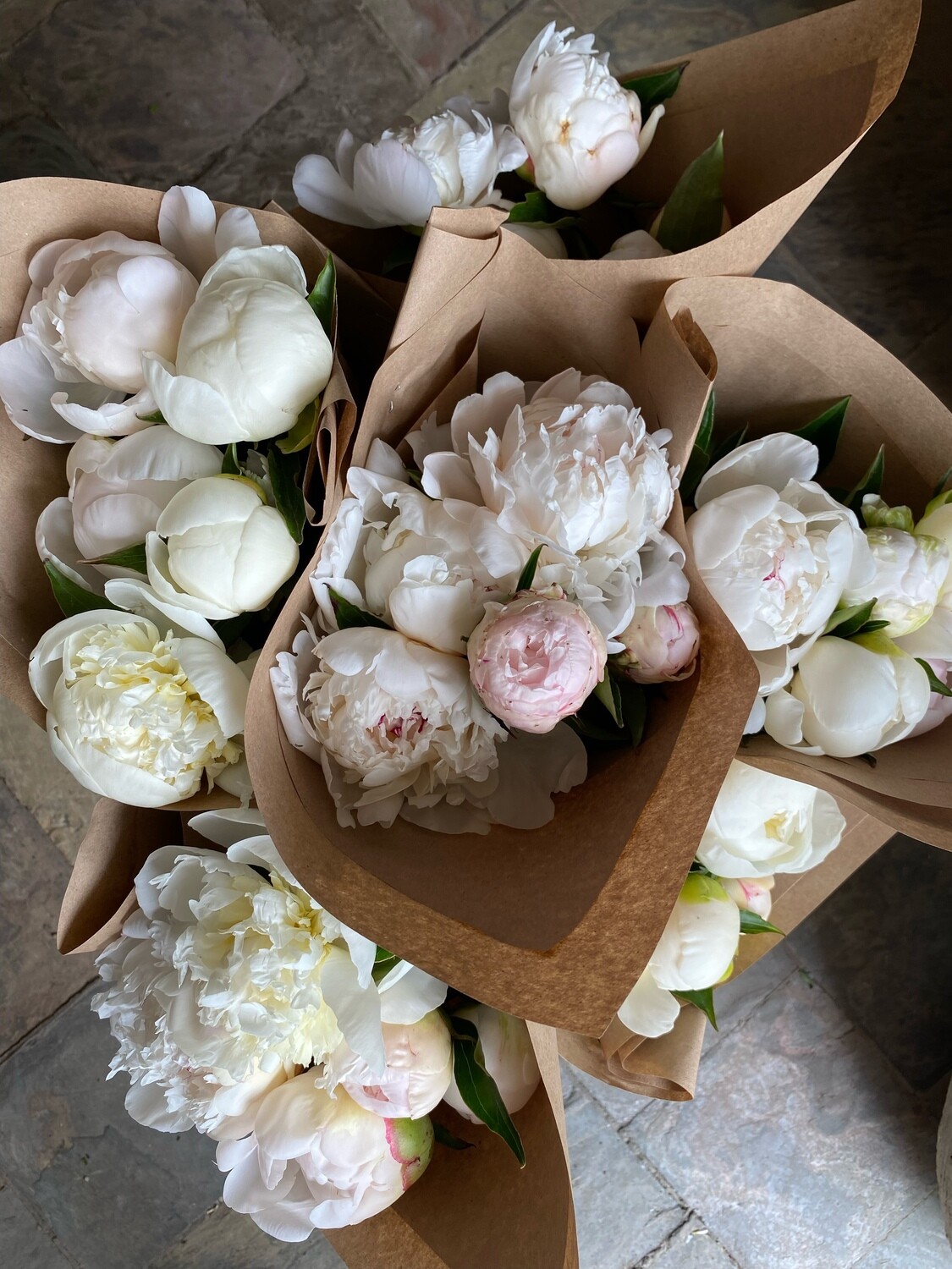 WRAP OF PEONIES