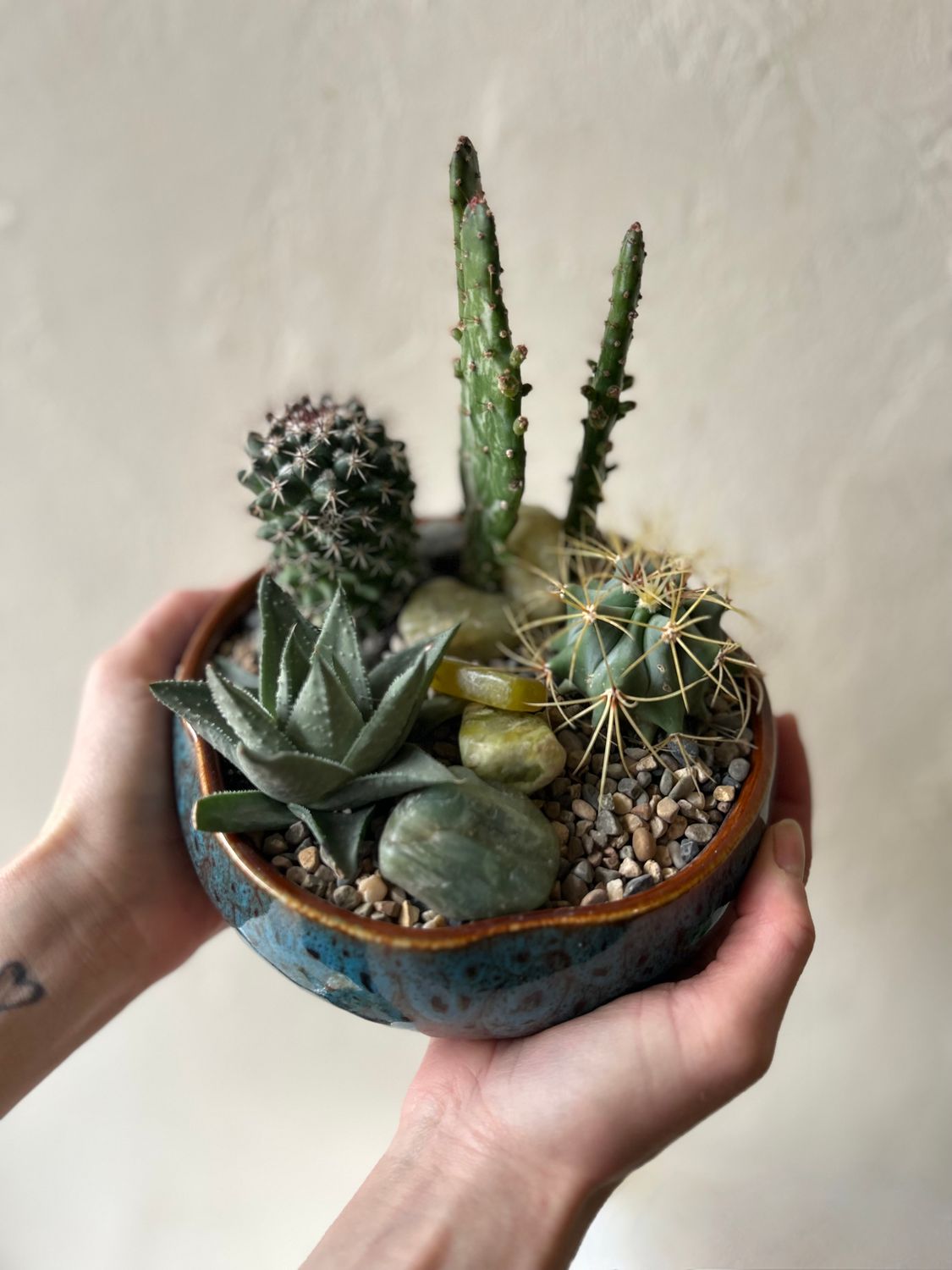 MIXED SUCCULENT &amp; CACTI PLANTER