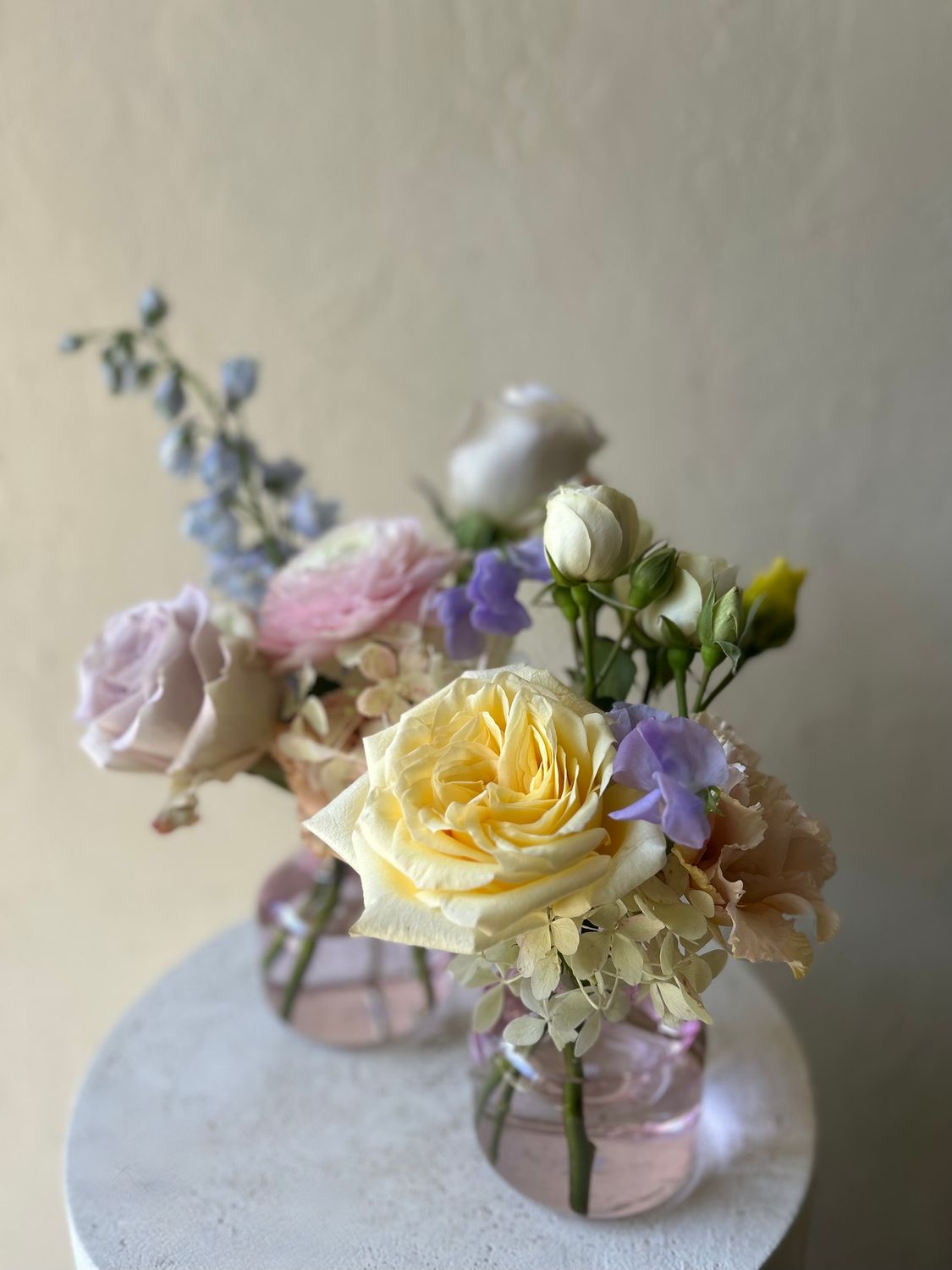 COQUILLE BUD VASES