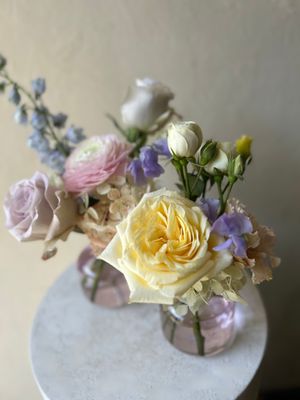 COQUILLE BUD VASES