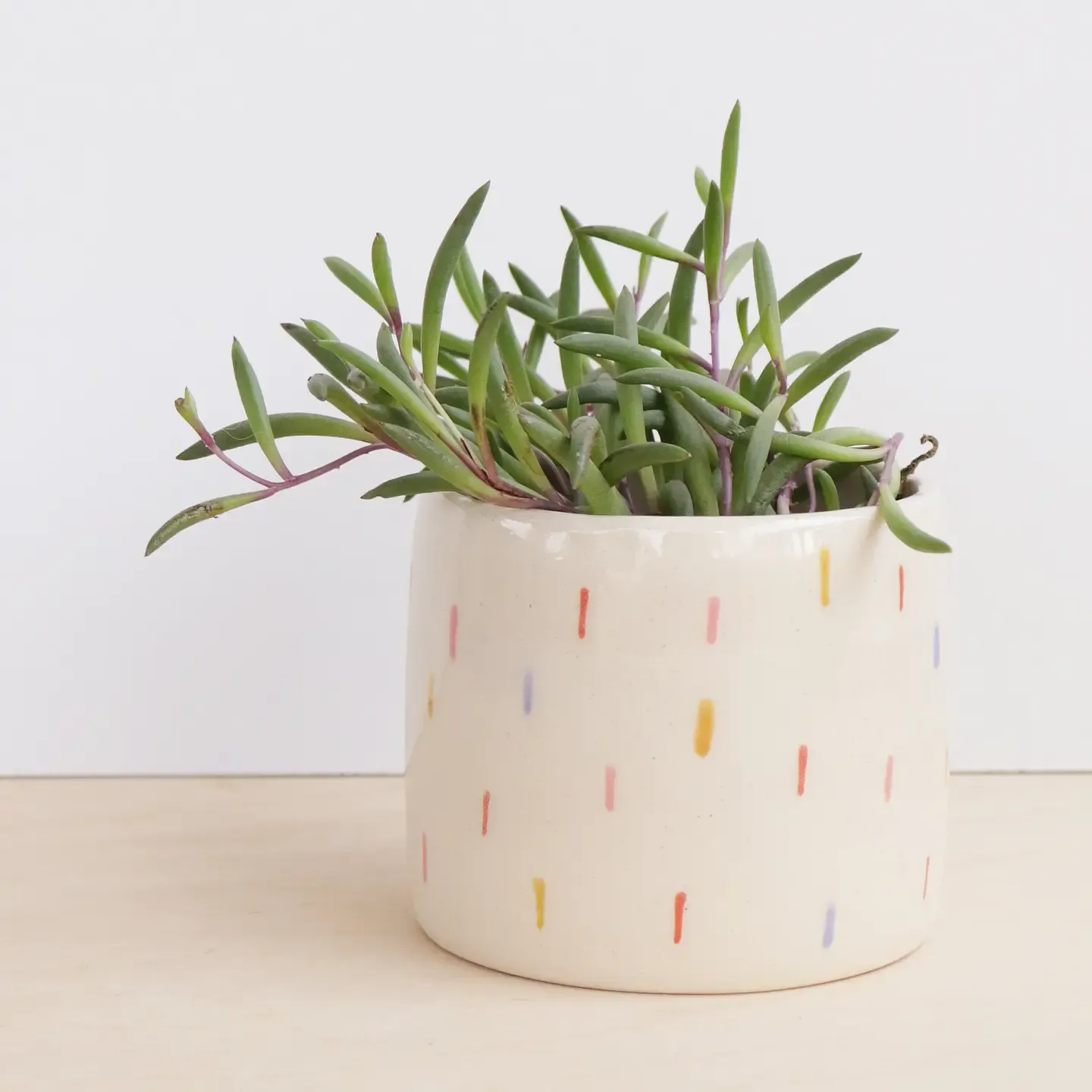 NIGHTSHIFT CERAMICS - CONFETTI PLANTER