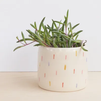 NIGHTSHIFT CERAMICS - CONFETTI PLANTER