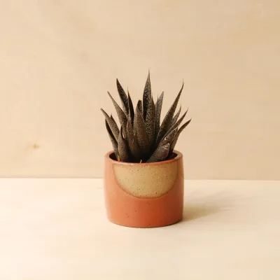 NIGHTSHIFT CERAMICS - GLOW  PLANTER