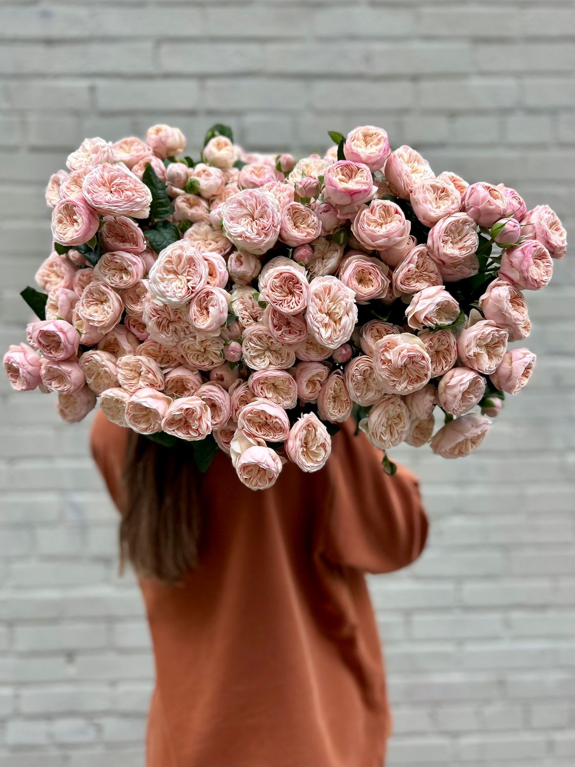 MASSED GARDEN SPRAY ROSES