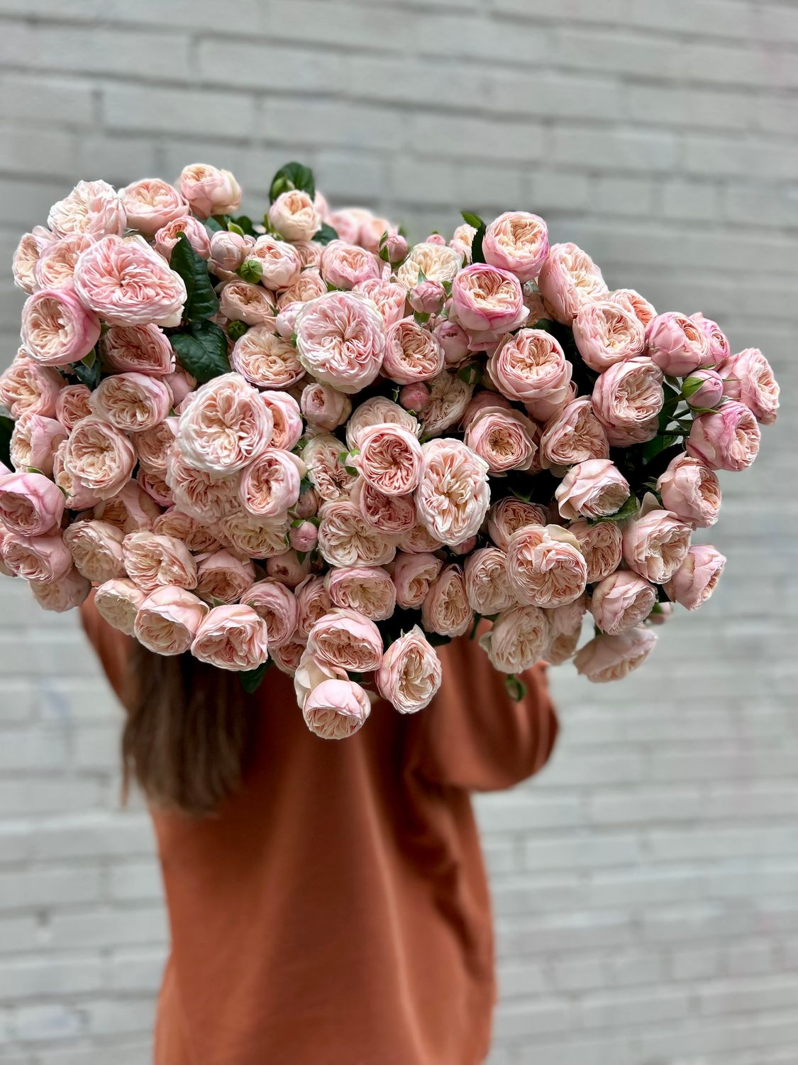 MASSED GARDEN SPRAY ROSES