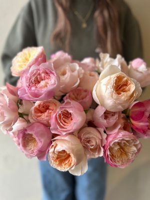 MASSED GARDEN ROSES