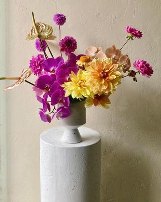 BLISS COMPOTE