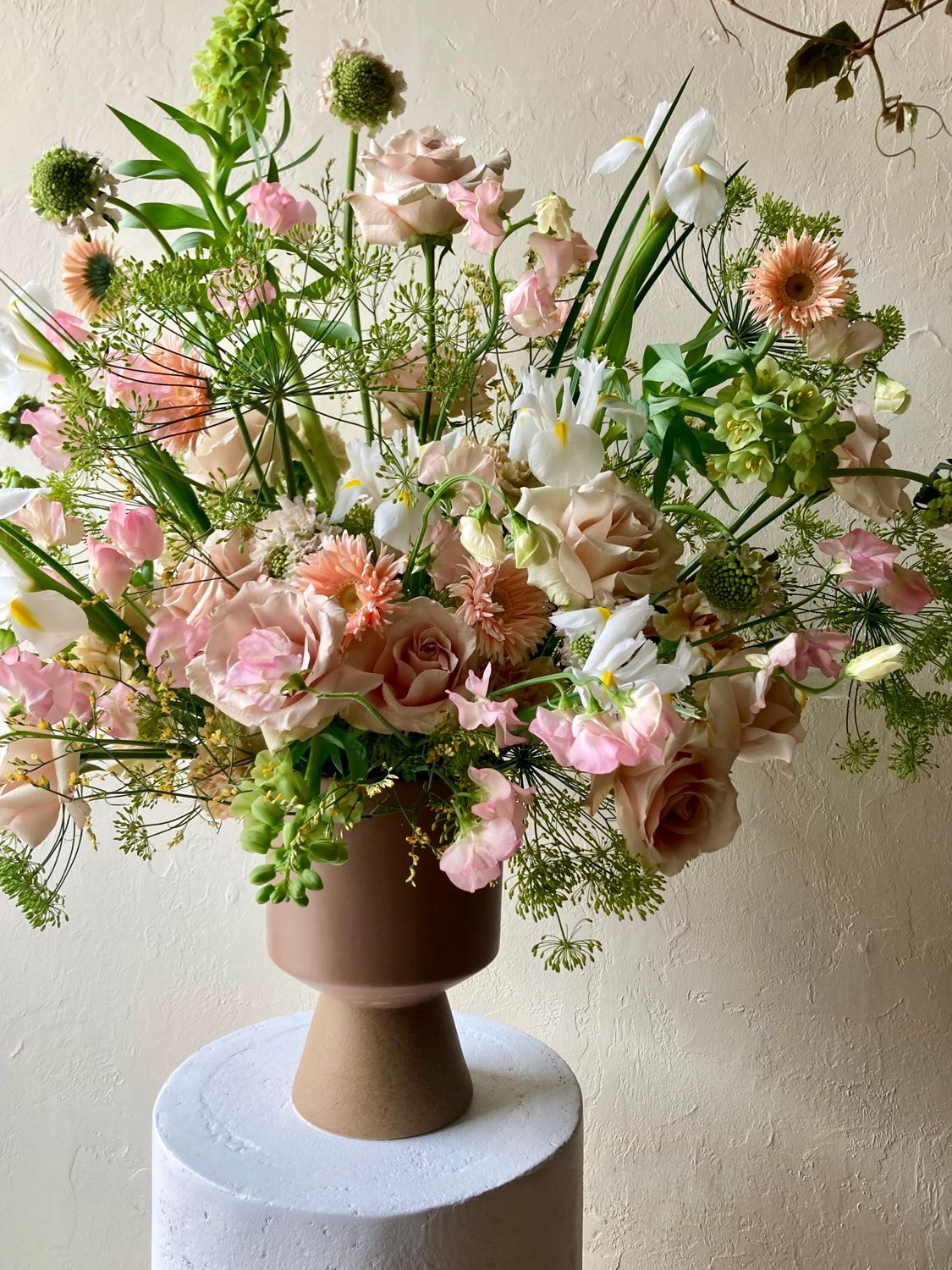 SPRING SYMPHONY COMPOTE