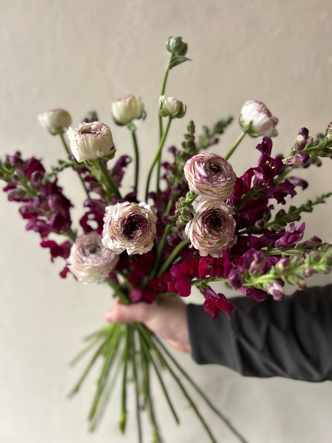 CAPPUCCINO RANUNCULUS AND SNAPDRAGONS