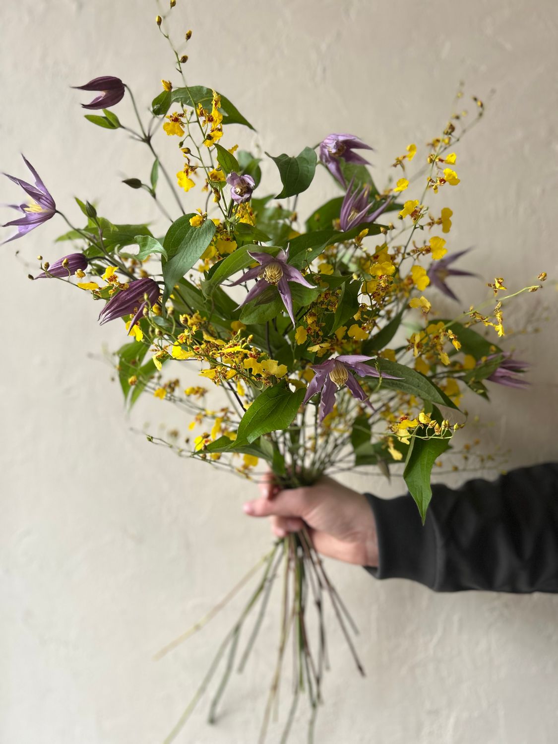 ONCIDIUM ONCIDIUMS AND CLEMATIS